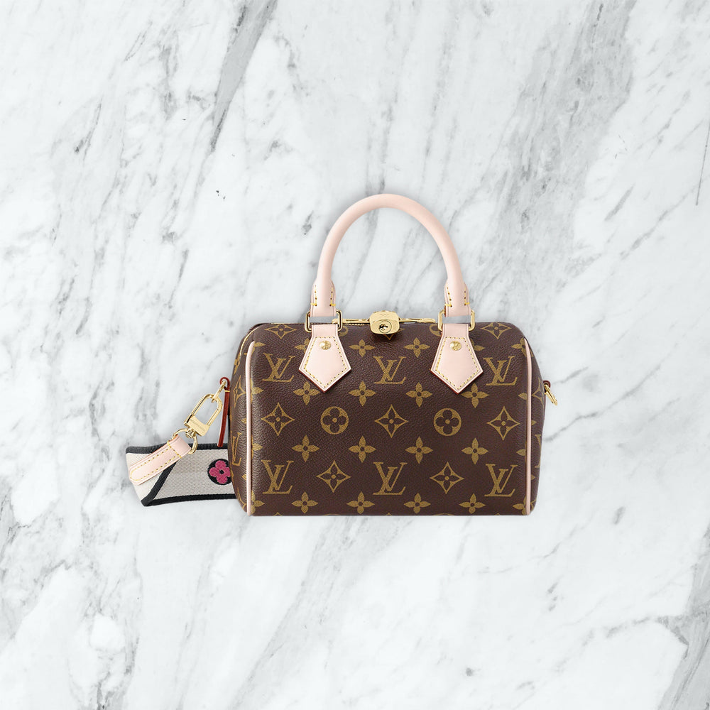 Sac à main Louis Vuitton — Wise