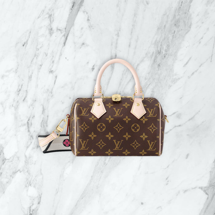 Sac à main Louis Vuitton — Wise