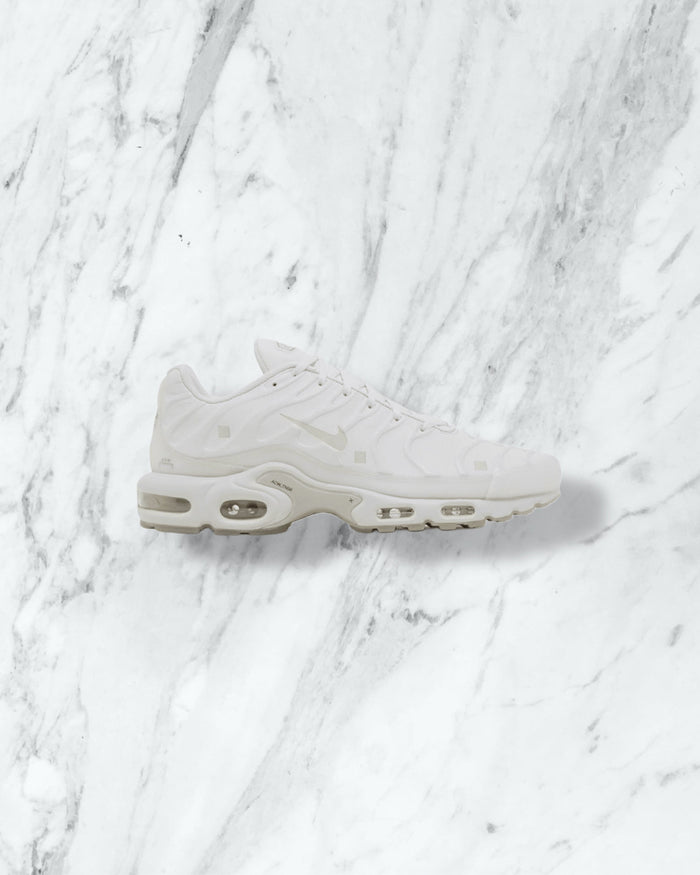 Nike Air Max Terrascape — Blanc — Wise